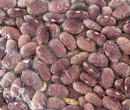 Haricots Flor de Mayo secs - 450g