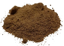 Coriandre premium en poudre