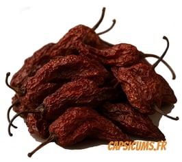Piment Bhut Jolokia Fumé sec entier