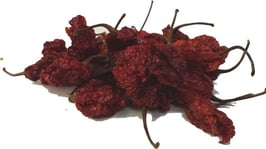 Piment Trinidad Moruga Scorpion sec entier