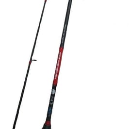 Caña Kali Kunnan Hikobushi