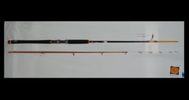 Cinnetic explorer tanera gold