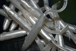 Raglous 12, 8'5, 6'5 y 5'5 cms