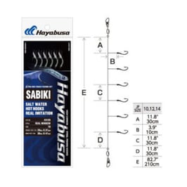 HAYABUSA SABIKI EXO15