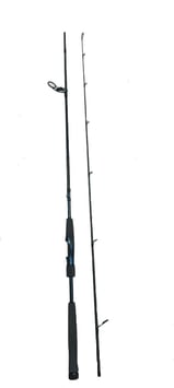 CAÑA 13 FISHING DEFY S 8.1 (15-40)