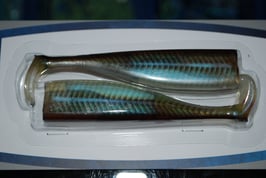 Cuerpos 360 GT coastal Biscay shad, 2 unidades, 12cms