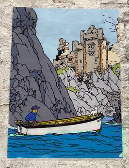 Tim & Struppi 15182 "Schwarze Insel"