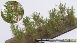 WB-SBW white Flowers je 10 Stck. 30-50mm Hoch