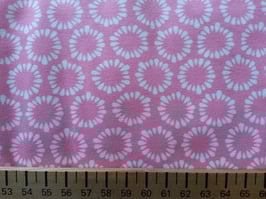 Hamburger Liebe, weisse Blüten auf rosa