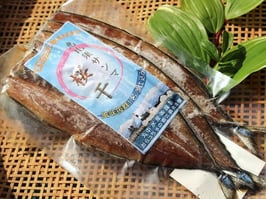 恵比須サンマ 桜干し