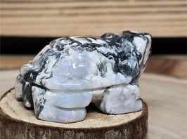 Moosachat Schildkröte 63g #0228