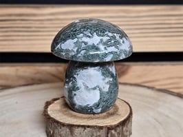 Moosachat Pilz 150g # 0021