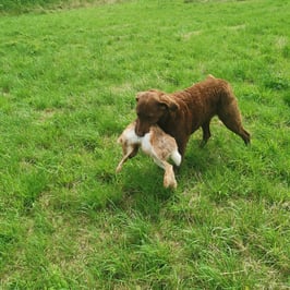 Kurs: BLP-Intensiv-Training und BLP-Tagesseminar