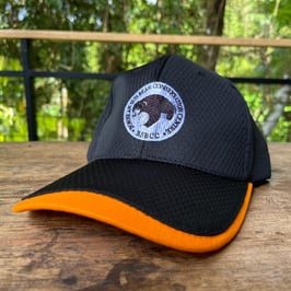 キャップ（メッシュ）