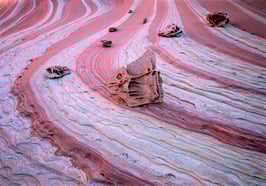 The Endless Race  |  USA  |  90x120 cm