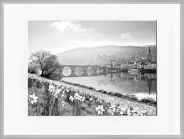 Edition 18x24 h2010123