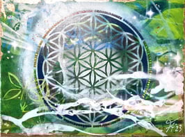 RAINBOWFLOweroflife