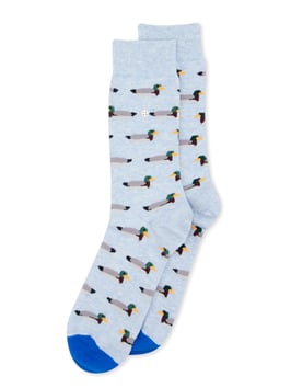 #AlfredoGonzales - DUCKS