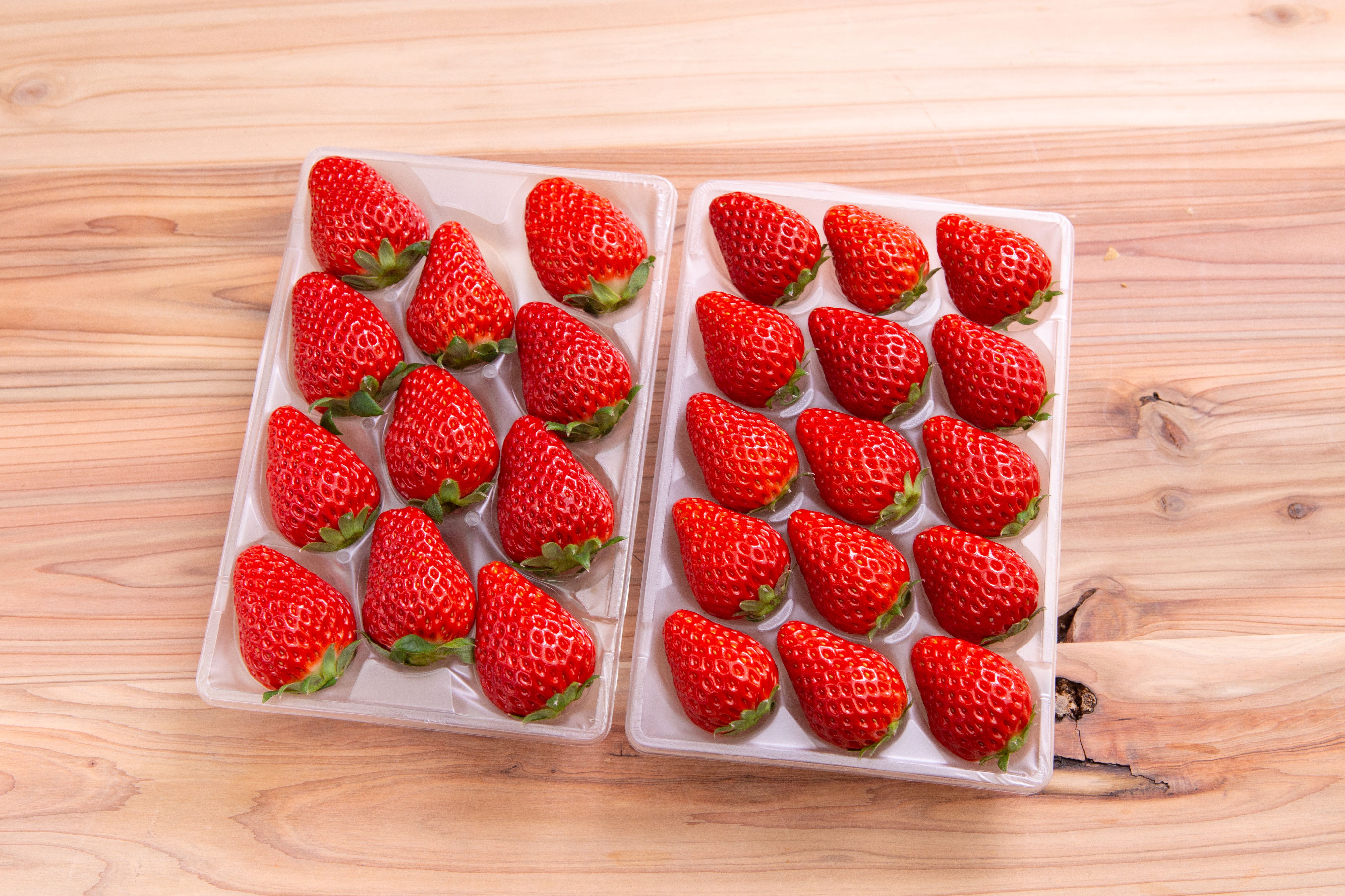 ［ギフトにおすすめ］厳選パック（2パック入/箱）