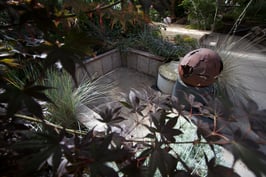 Feuer trifft Eis (Größe S und M)