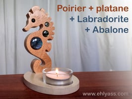 Bougeoir Hippocampe avec pierres