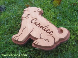 Plaque de porte Shar peï