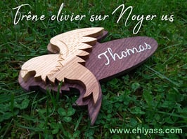 Plaque de porte Rapace (corbeau, aigle, faucon...)