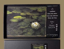 ÉCRIN NOIR à HAïKU (ici de Hisajo SUGITA)