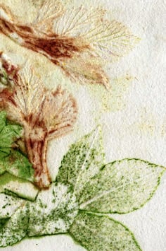 Kartenset «glücksgrün»