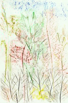 Kartenset «floradies»