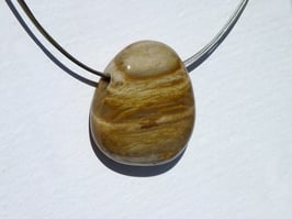 Bois fossilisé en pierres percées