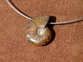 Ammolite entière en pierres percées