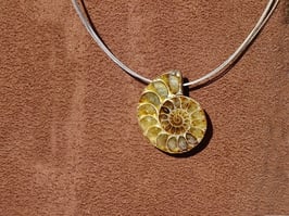 Ammonite en pierres percées (de côté)