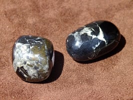 Septaria en pierres roulées