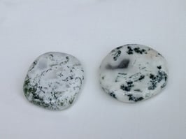 Agate d'arbre en palets roulés