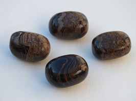 Stromatolite en pierres roulées