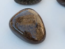 Bronzite en palets roulés