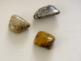 Jaspe dendritique en pierres roulées