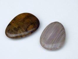 Bois fossilisé en palets roulés