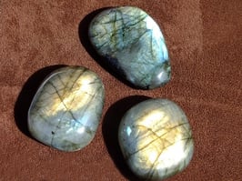 Labradorite en palets roulés