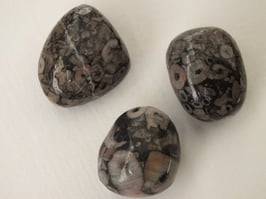 Jaspe turitelle en pierres roulées