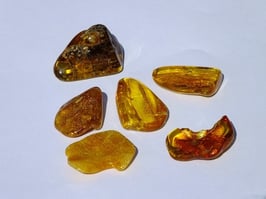 Ambre en pierres roulées