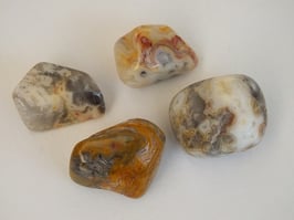 Agate crazy lace en pierres roulées