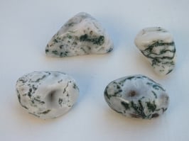 Agate d'arbre en pierres roulées