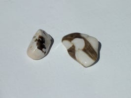 Bois fossilisé cacahuète en pierres roulées