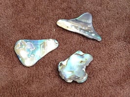 Morceaux polis en nacre (abalone)