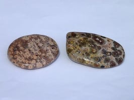 Jaspe léopard en palets roulés