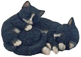 Katze mit Baby schlafend schwarz