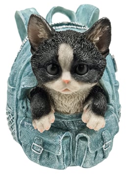 Sparkasse - Katze schwarz