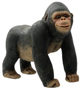 Gorilla stehend